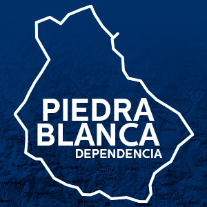 Logo de la dependencia